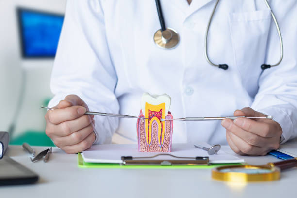 Best Urgent Care for Lost Fillings or Crowns in Kenwood Estates, FL